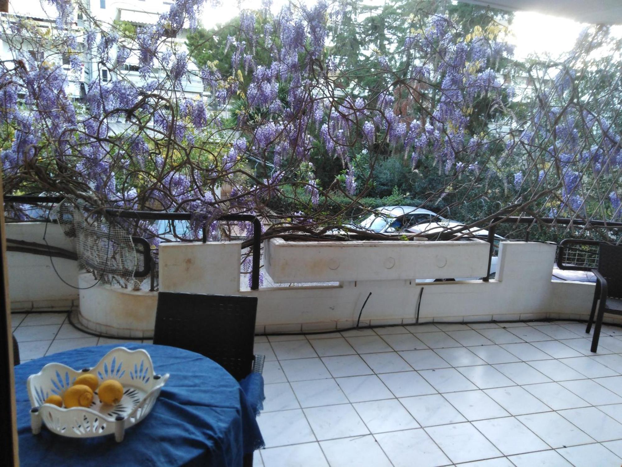 Filyra Homestay Athènes Chambre photo